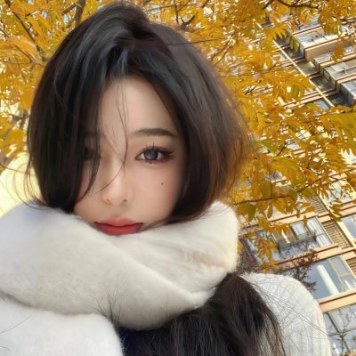 阿布奈德卡刑事归来